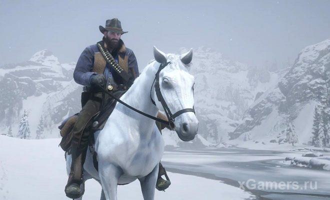 Tests experienced rider in the game Red Dead Redemption 2