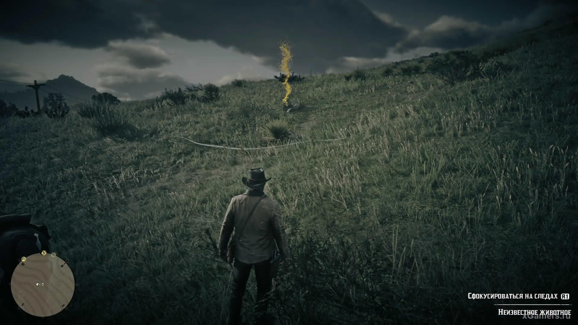The location of the first bones in the game RDR 2