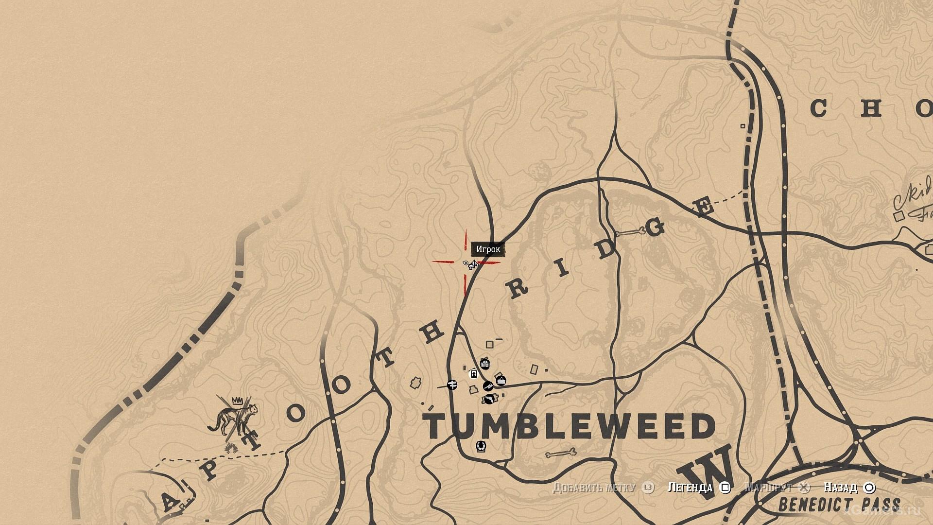 Where does black currant grow in RDR 2