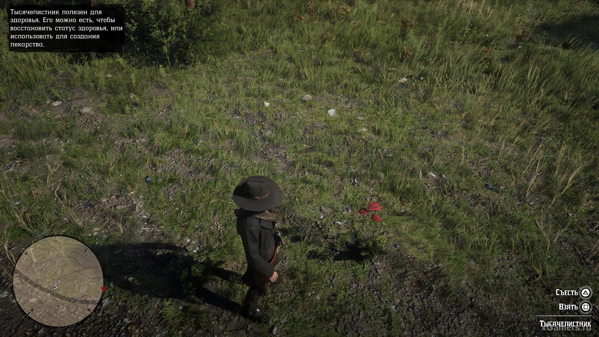 Yarrow in the game RDR 2