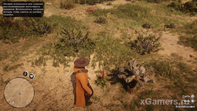 Red Dead Redemption 2 - Plants Guide 