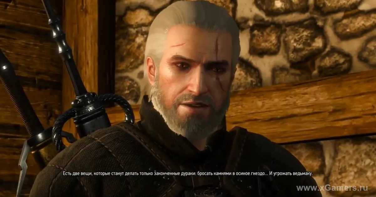 Video walkthrough "Feast for the Ravens" The Witcher 3: Wild Hunt Walkthrough [1080p HD]