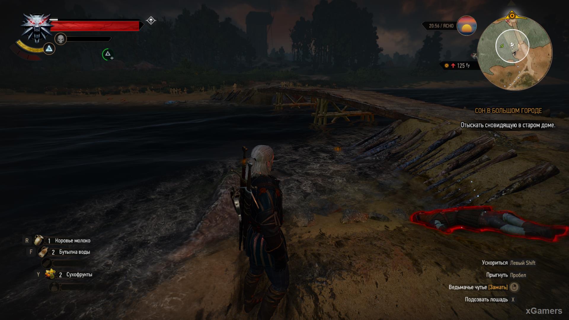 Geralt find that the bridge is guarded by two drowner