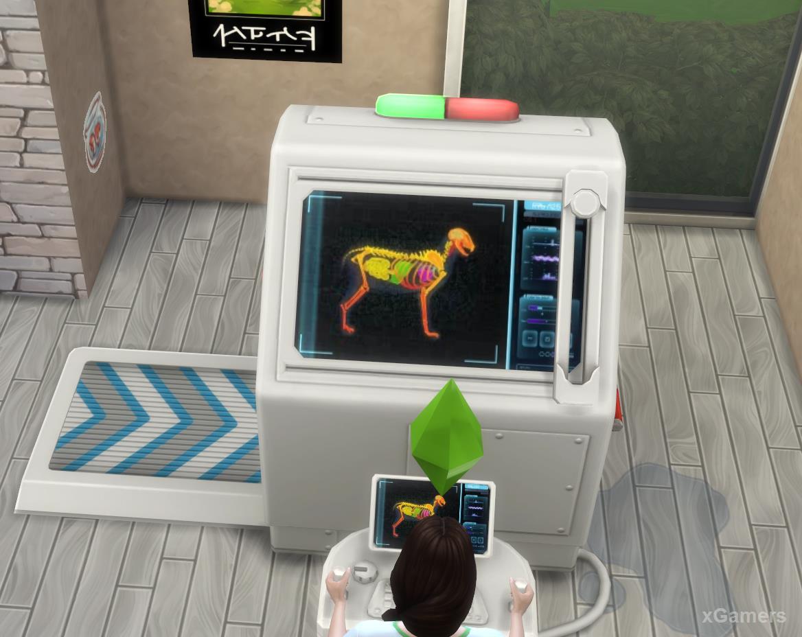 Result scanning Pets and Full Diagnostic