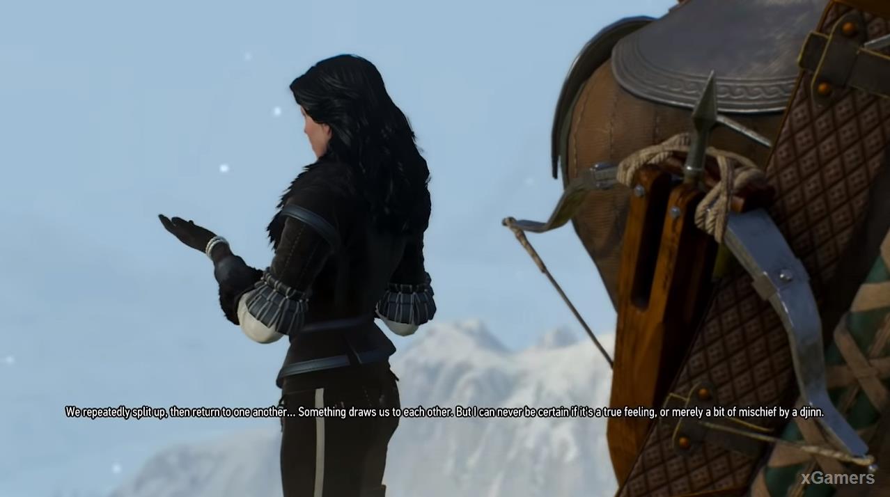 Geralt is not satisfied with the reasons that allegedly appeals to Yennefer 