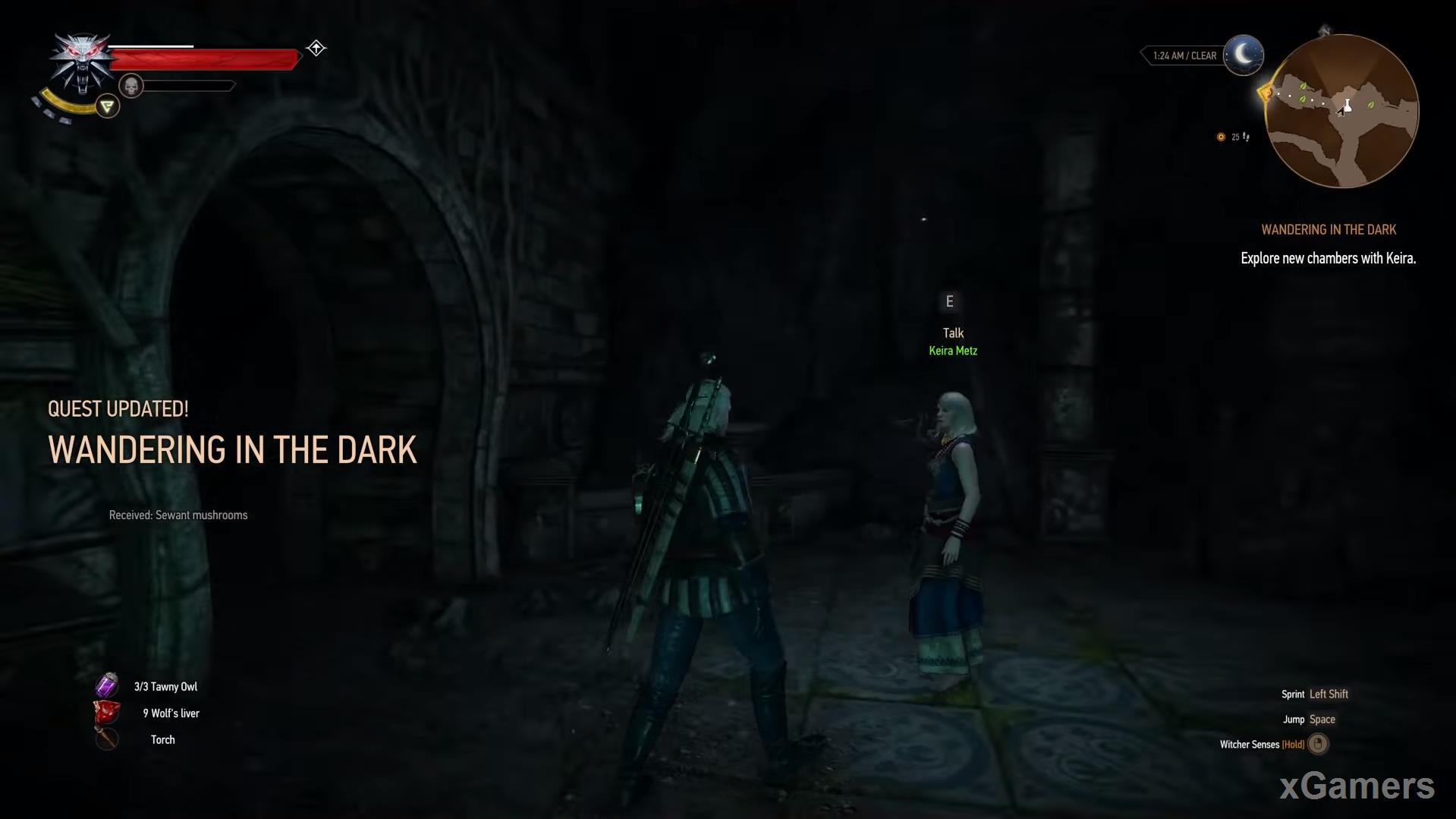 Geralt and Keira in Wandering in the Dark - Witcher 3