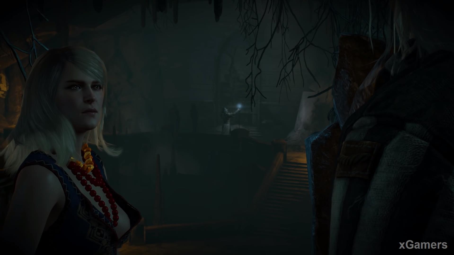 The Witcher and the sorceress notice the Navigator