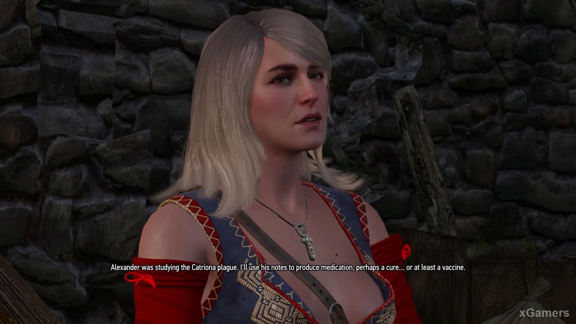 This popular wisdom very accurately describes the state of the Witcher