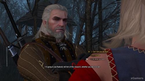 The Witcher 3: «For the Advancement of Learning» | Choice and Consequences of Keira Mets | xGamers