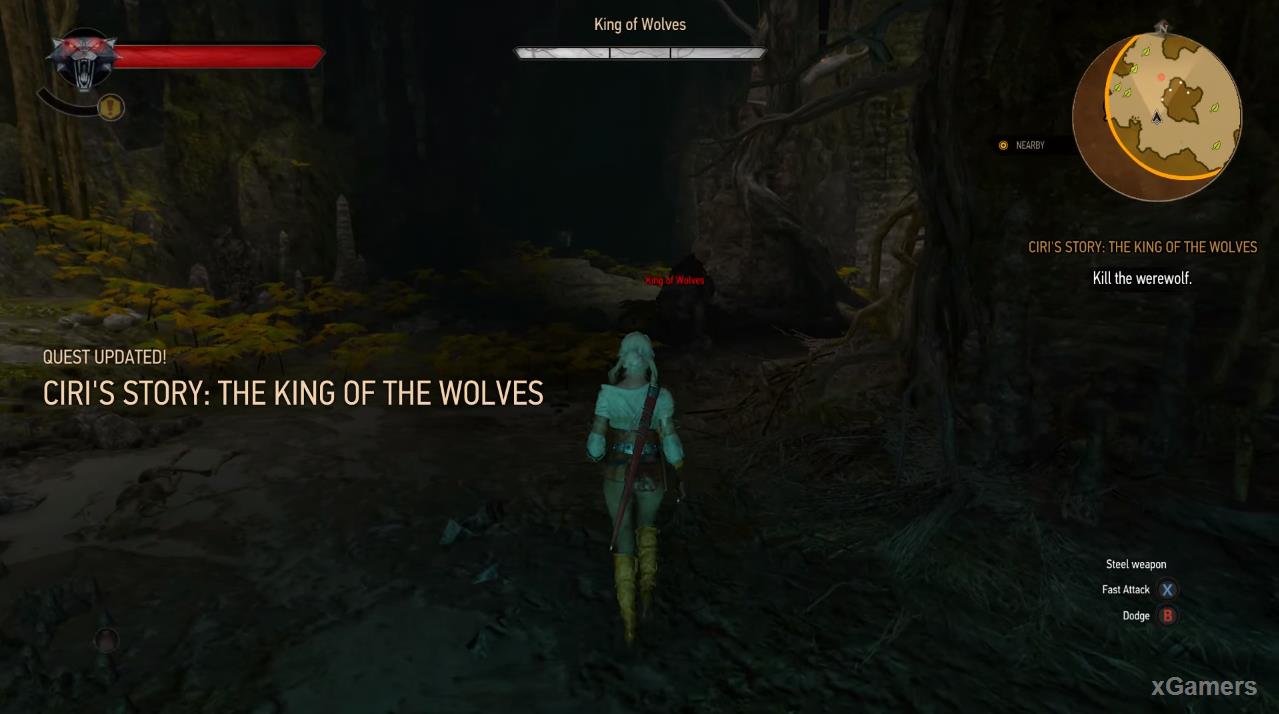Ciri s Story: The King of the Wolves