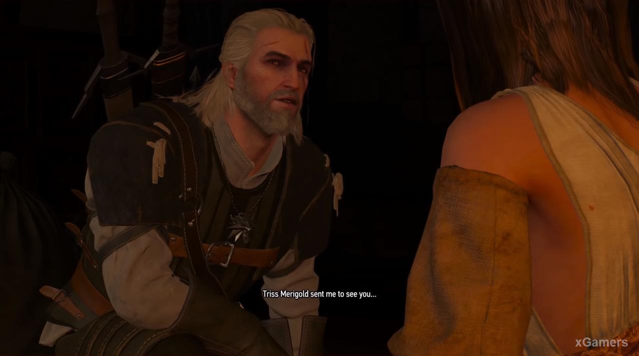Conversation Geralt with a Corinne