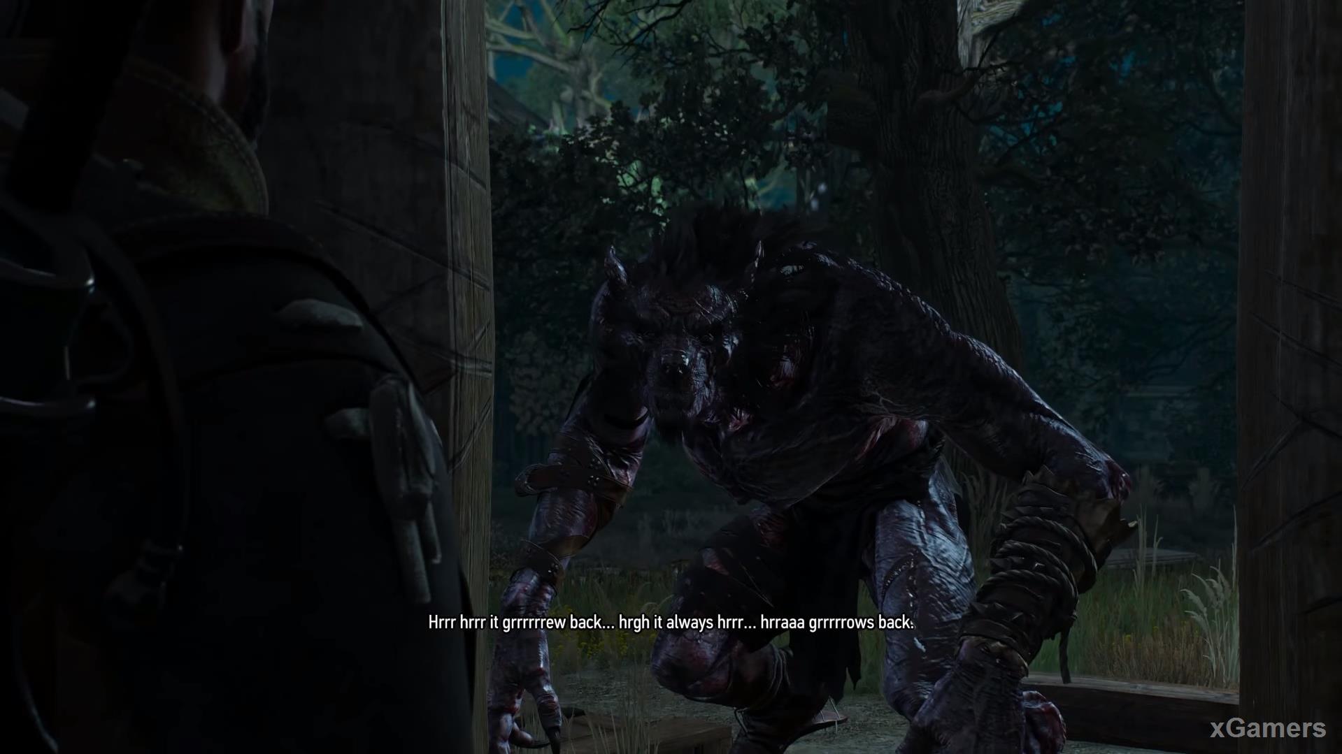 Werewolf in quest: Nameless - The Witcher 3