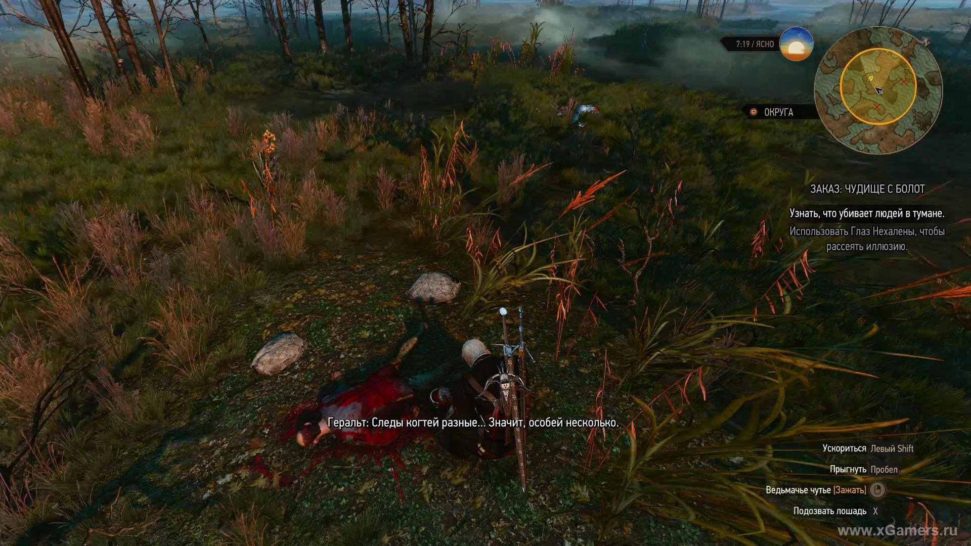 Mission "Monster from the swamps" The Witcher 3
