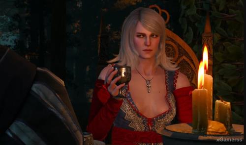 The Witcher 3: quest «Brothers In Arms»