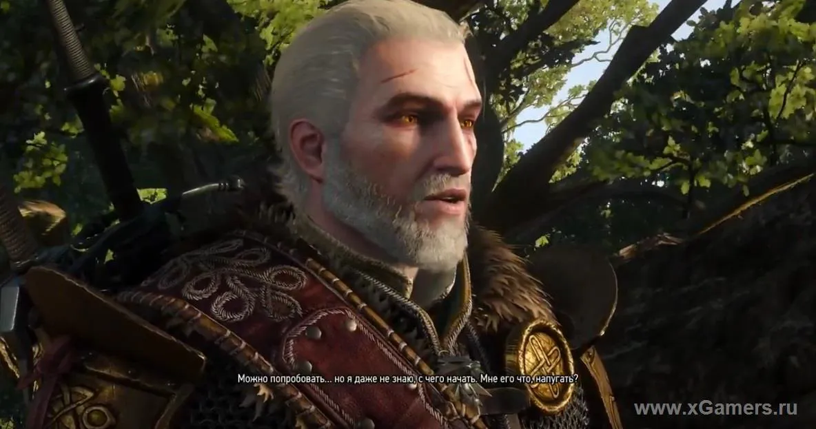 Video passage The Witcher 3 - "Shock Therapy" [1080p HD]