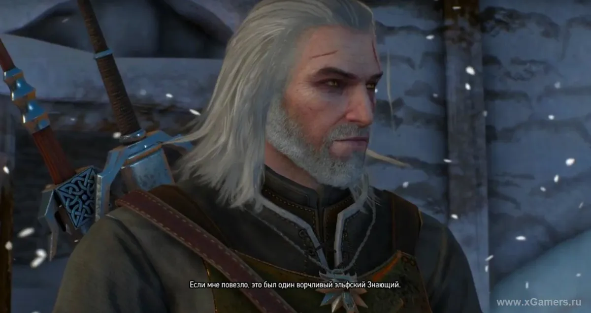 Through Time and Space | The Witcher 3 | Walkthrough
