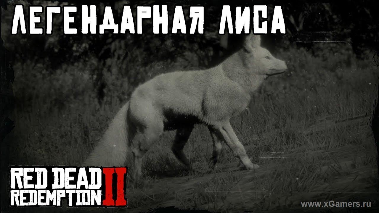 The Legendary Fox - Red dead redemption 2