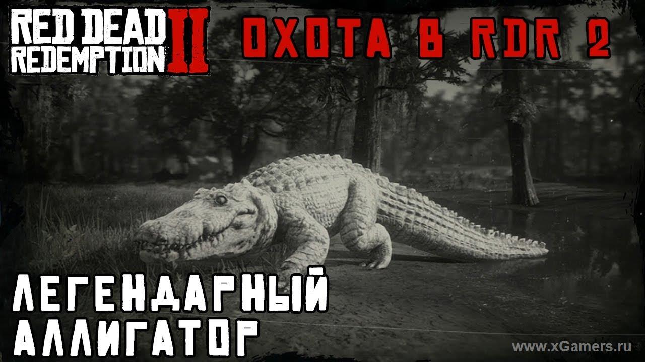 The legendary alligator - Red dead redemption 2