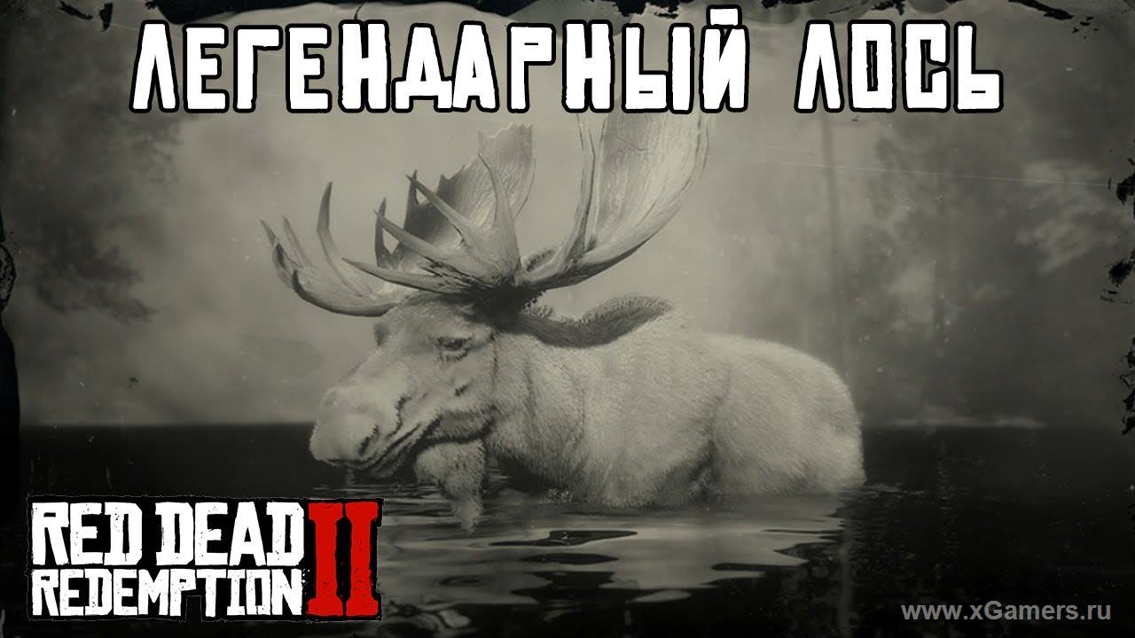 The legendary elk in the game Red dead redemption 2