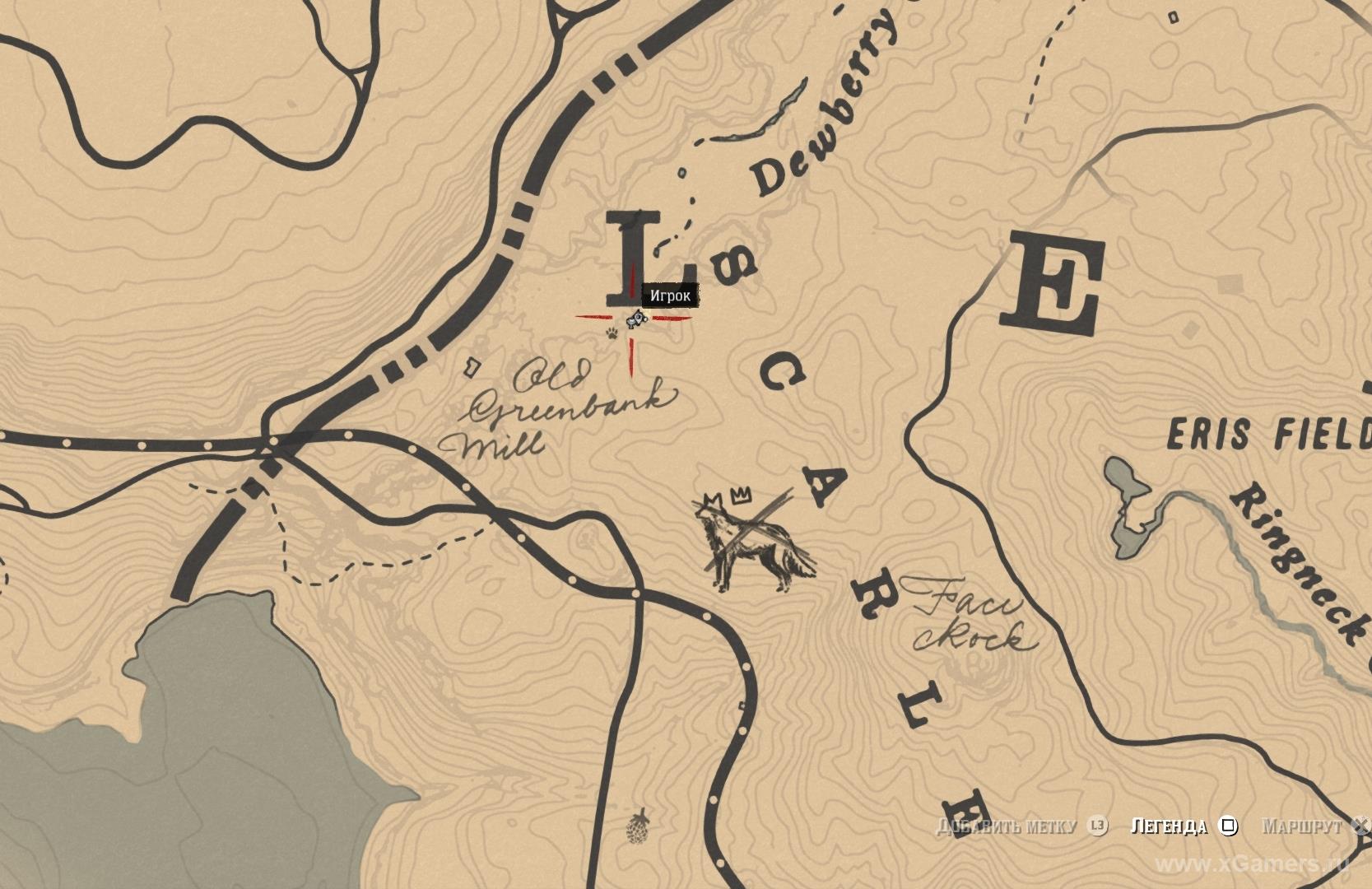 Location the legendary coyote