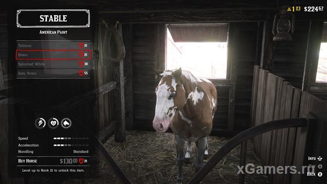American Paint - horse breed in RDR 2