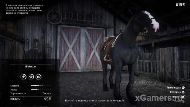 Rdr 2 Horses | Guide | Locations | Horseback