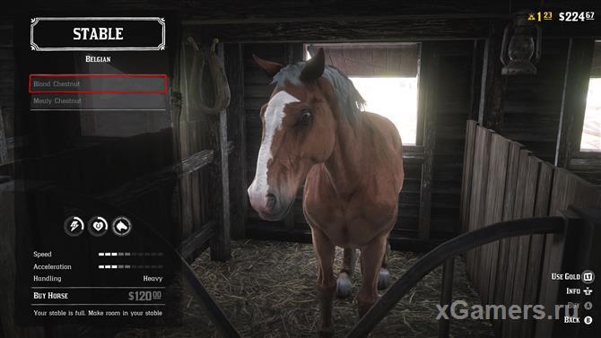 Belgian breed horse in the game RDR 2