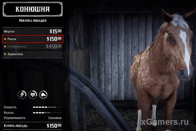 American trotter (Racehorse breed) in the game RDR 2