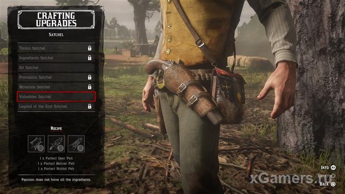 Upgrade bags for valuable items in the game RDR 2