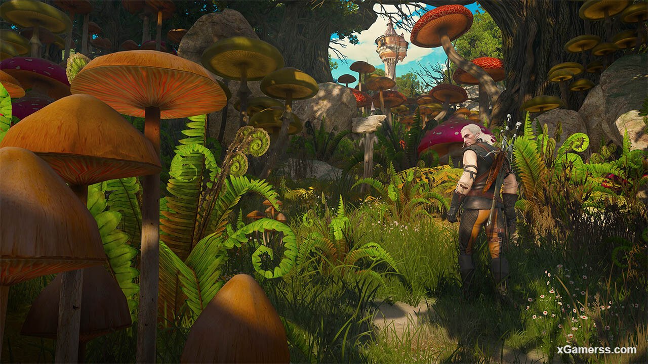 The Witcher 3 Blood and Wine official screenshot
