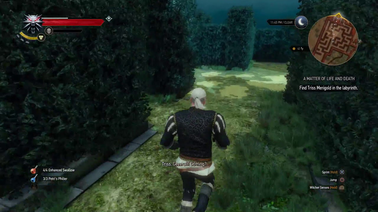 Finding Triss in the Vegelbud labyrinth