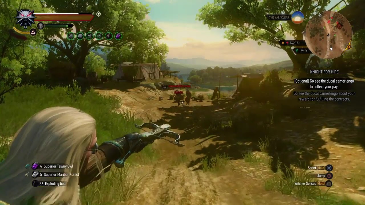 Geralt aiming his crossbow with the Cat Eyes mutation in The Witcher 3
