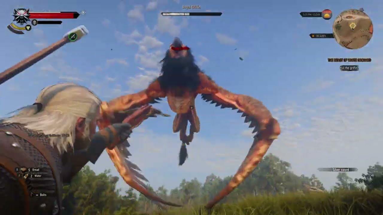 Geralt fighting the griffin in The Beast of White Orchard