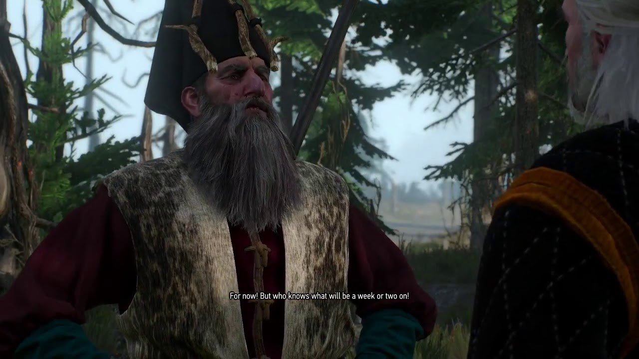 The druid Ermion at the druids' camp in Echoes of the Past