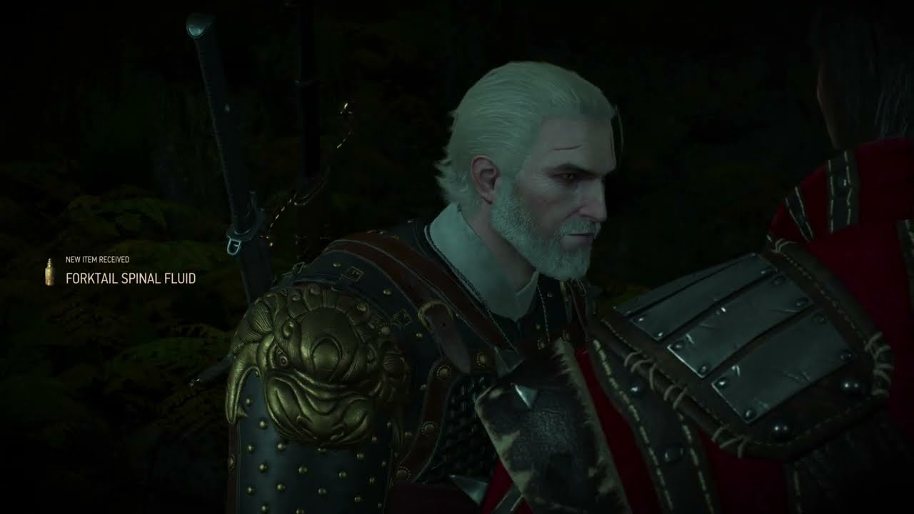 Geralt receives forktail spinal fluid after the fight